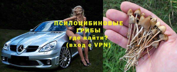 а пвп мука Арсеньев