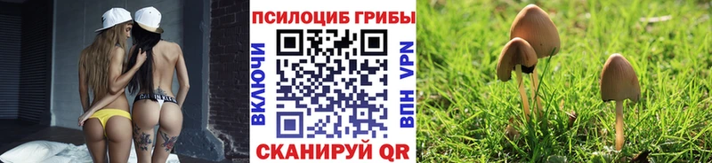 blacksprut ССЫЛКА  Печора  Галлюциногенные грибы Cubensis 